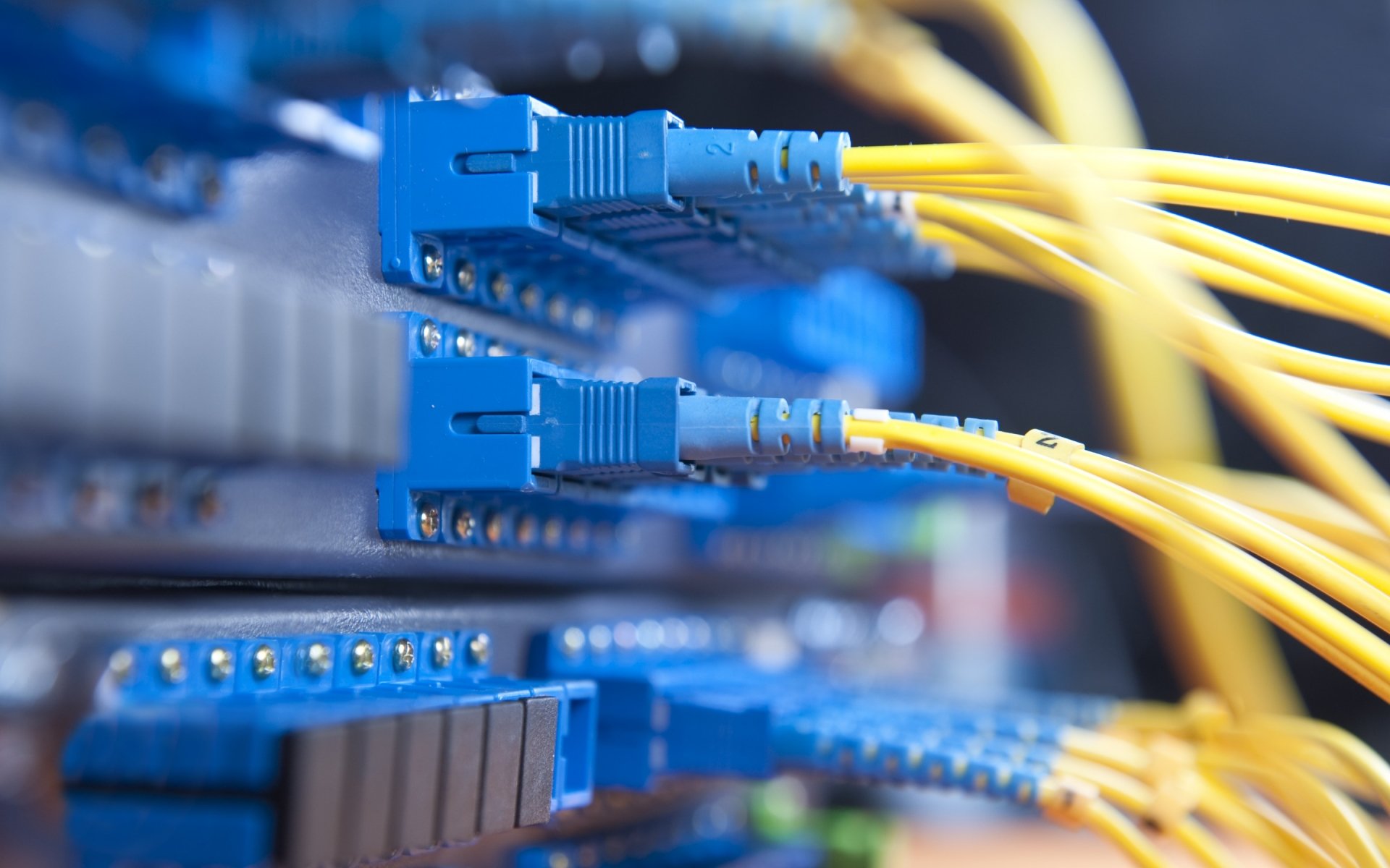 Services spéciaux